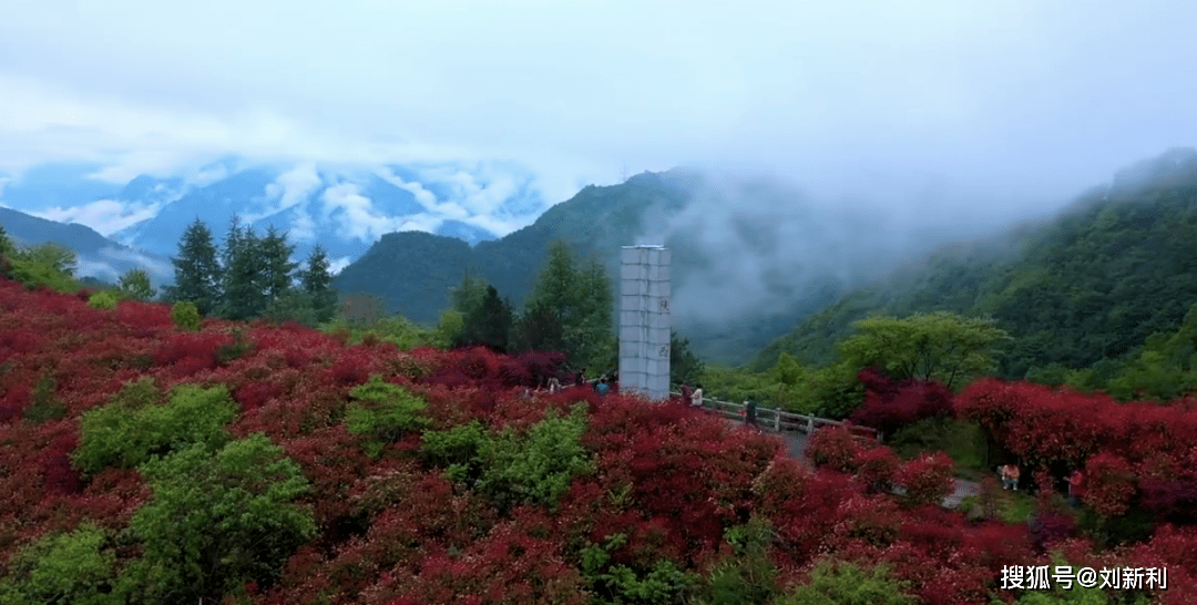 佳创视讯引领自然美景探索之旅，心灵洗涤与重生体验新篇章