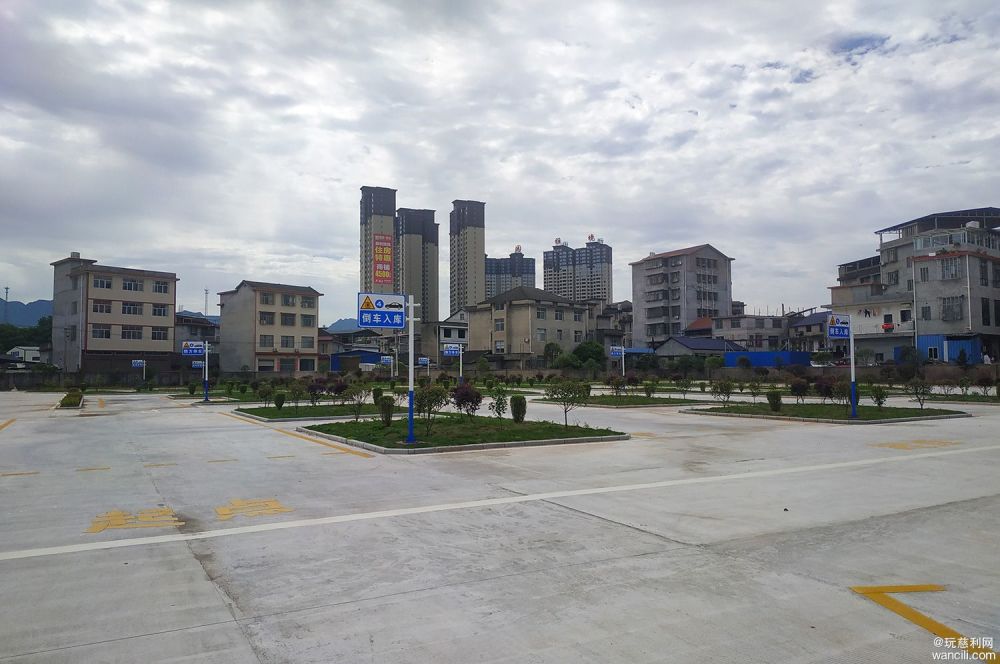 摇钱树app最新版，自然美景探索之旅启程