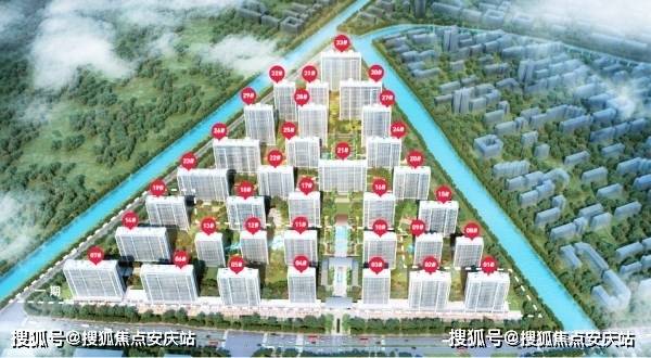 好当家最新动态深度解析与观点阐述