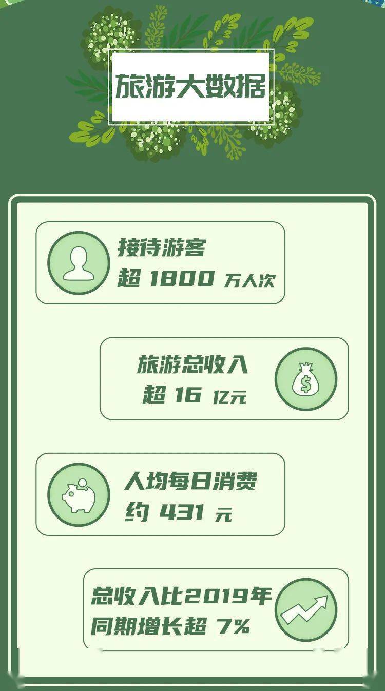 日本理论片深度分析与个人观点分享