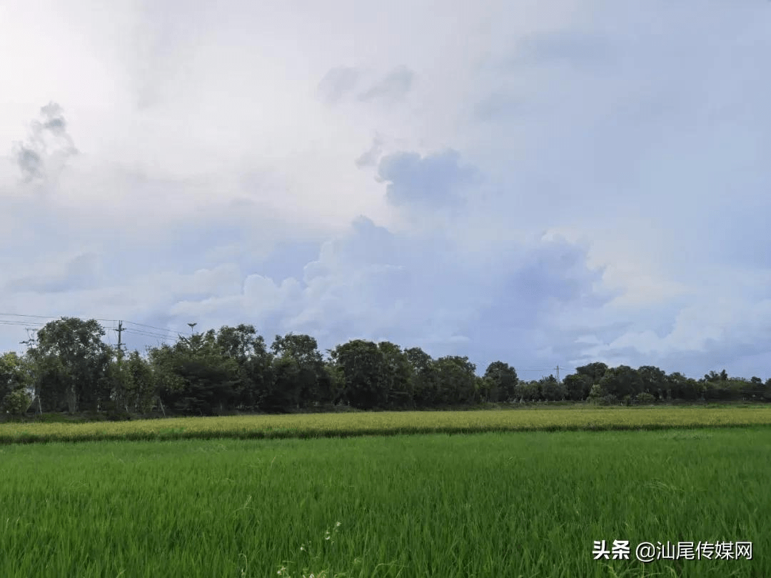 自然美景之旅 第8页