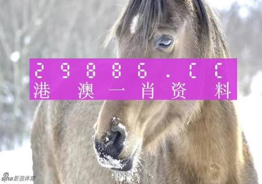 澳门一肖一码100准最准一肖_,状况评估解析_QCT258.07广播版