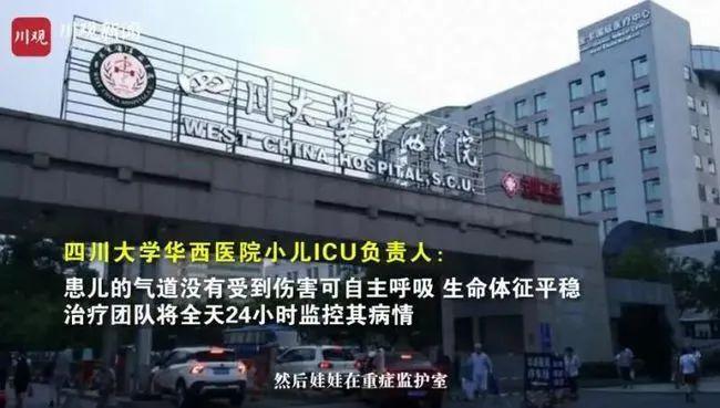 电梯历险后的重生之旅，寻找内心平静与生命奇迹的旅程