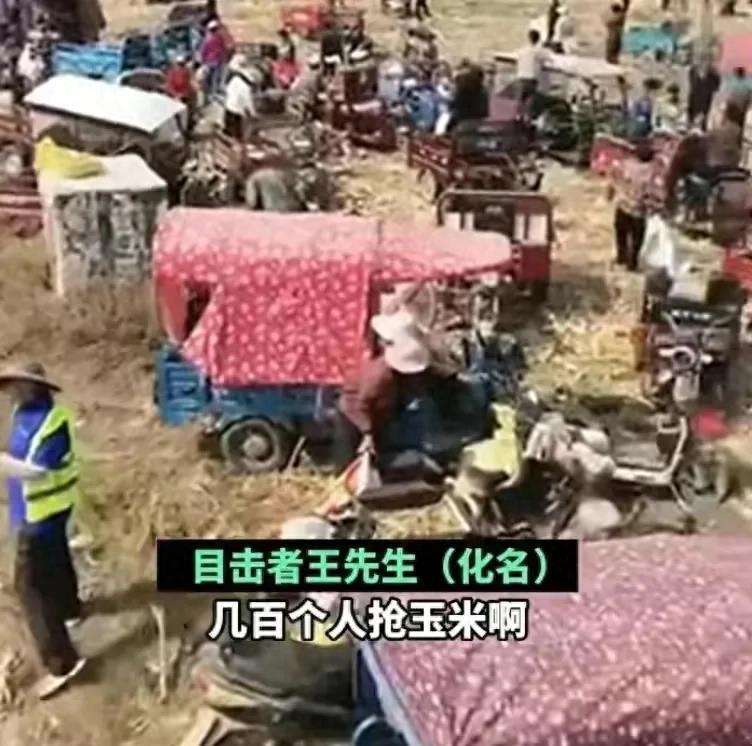 老人拾玉米被打致死事件，当地回应及调查进展