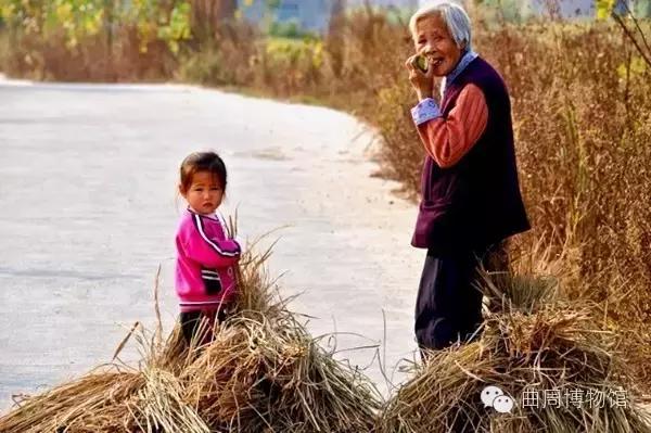 老人拾玉米被打致死事件，当地回应与事件背后的反思，寻求力量与希望之道