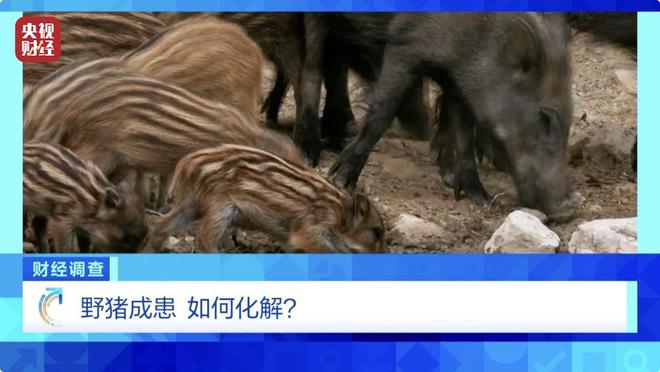 第3106页