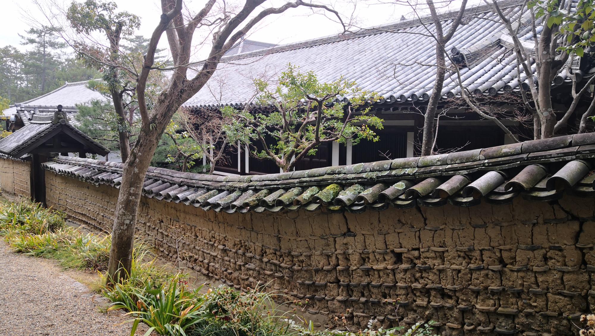 扬州地震最新消息，温馨日常故事感动人心