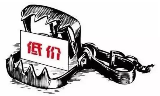上海青价格最新行情，变化中的机遇与自我成长之路