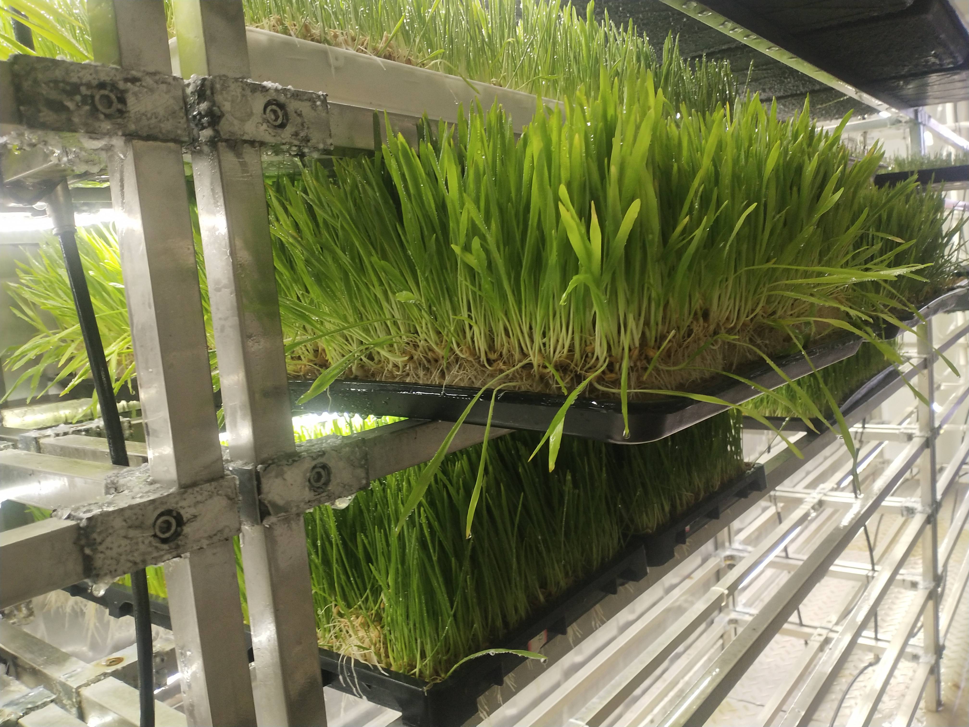 草遛最新高科技产品介绍及亮点解析