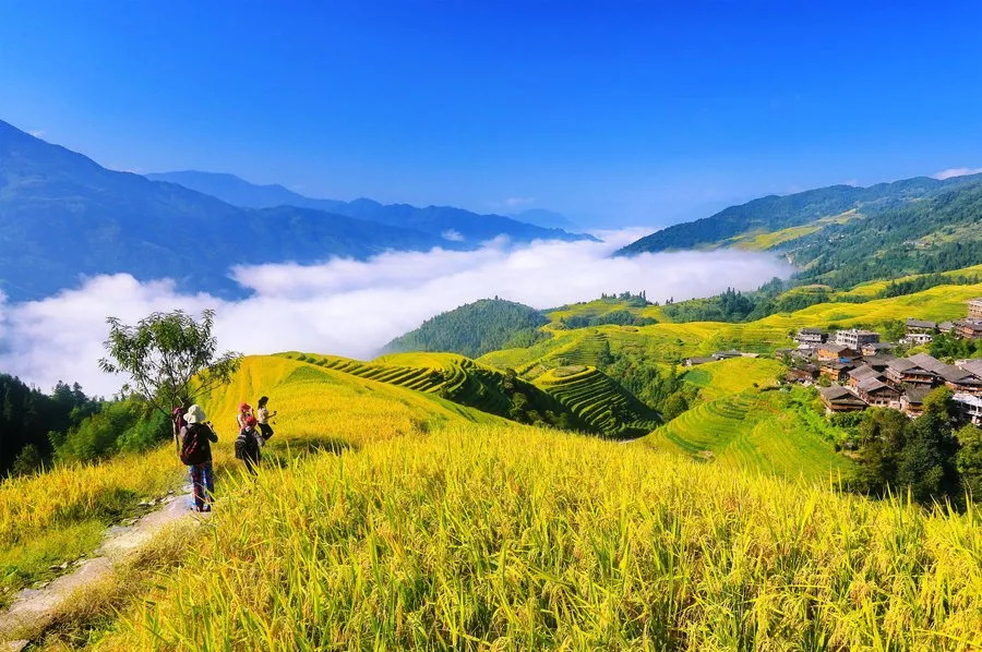 中9最新消息，自然美景探险之旅，心灵洗涤与重生之旅