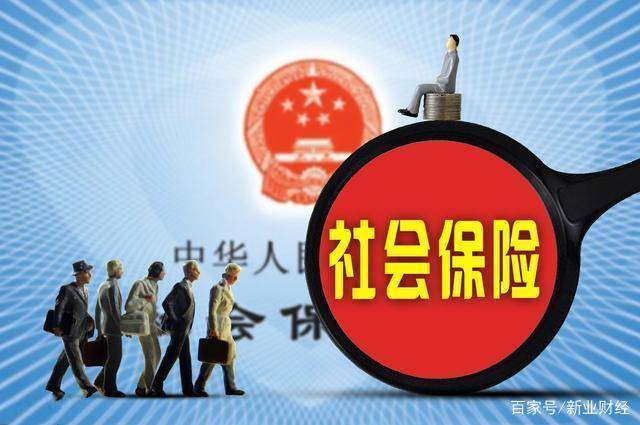 社会保险最新政策，探索自然美景之旅，寻找内心宁静的旅程