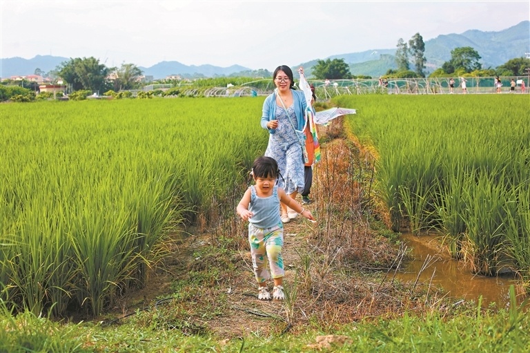 最新乡村电视剧，自然美景的轻松探索之旅，内心平和静谧的追寻