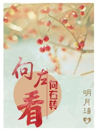明月珰最新小说，温馨日常的温馨故事