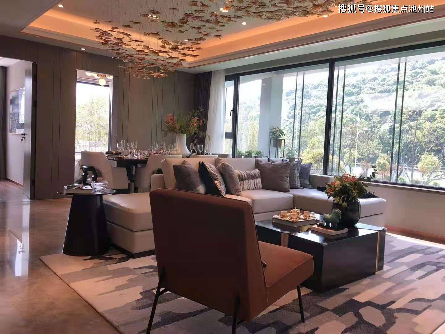 坚果最新的,坚果最新的，小巷中的秘密宝藏