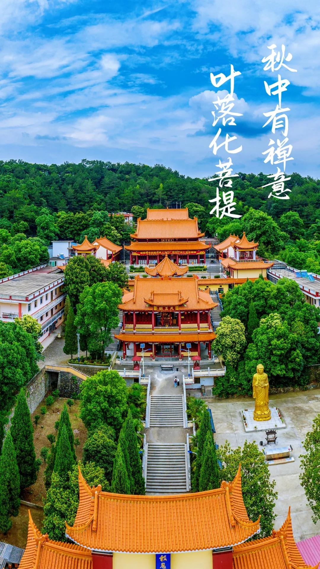 自然美景之旅 第5页