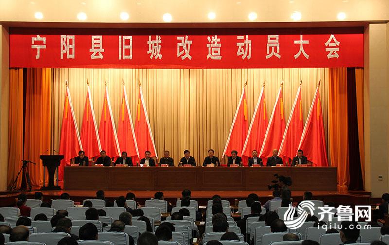 宁阳网最新新闻🌟报道速递