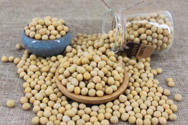 黄豆最新价格背后的友情与陪伴日常