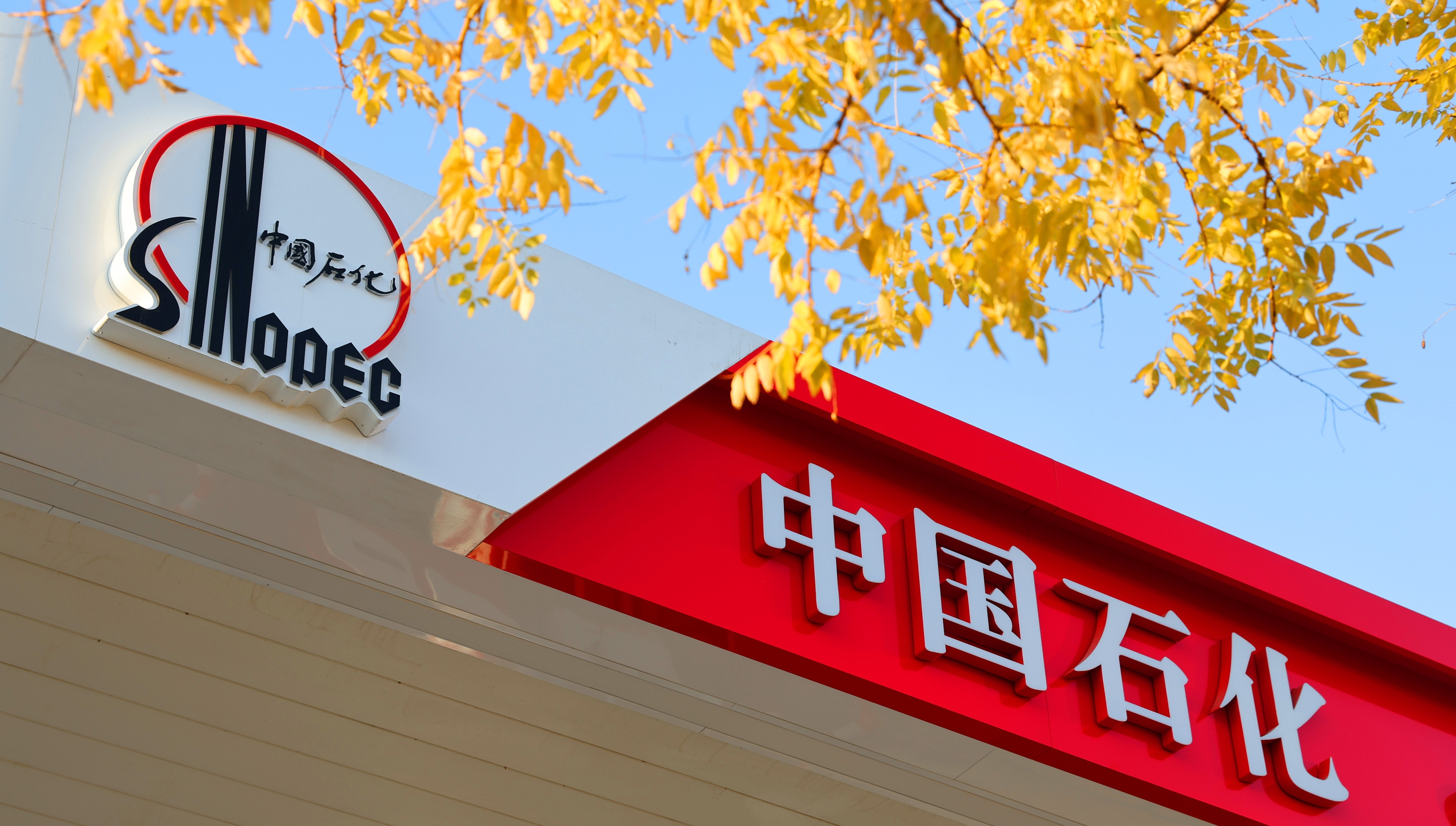 中石化最新动态更新，最新消息一览