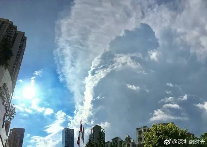 深圳台风最新消息，探索自然美景之旅，寻找内心宁静与平和的旅程