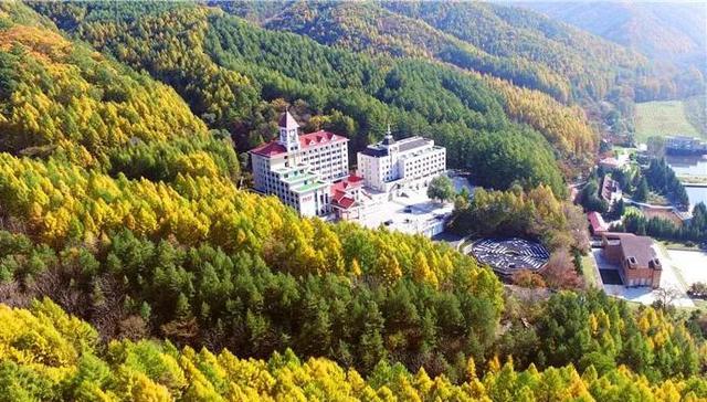 新宾最新事件，自然美景之旅，探寻内心平和与宁静的旅程