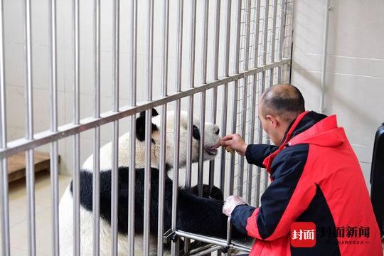 拆迁最新通告发布，启程探索自然美景之旅