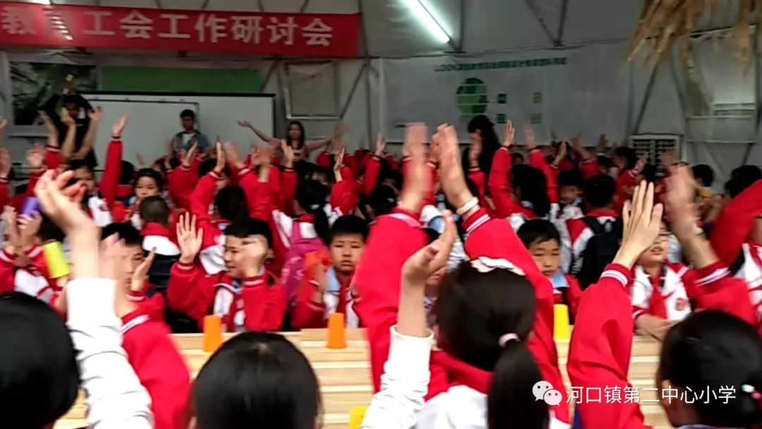 光猫最新动态揭秘，与自然美景的亲密之旅，探寻内心平和之地