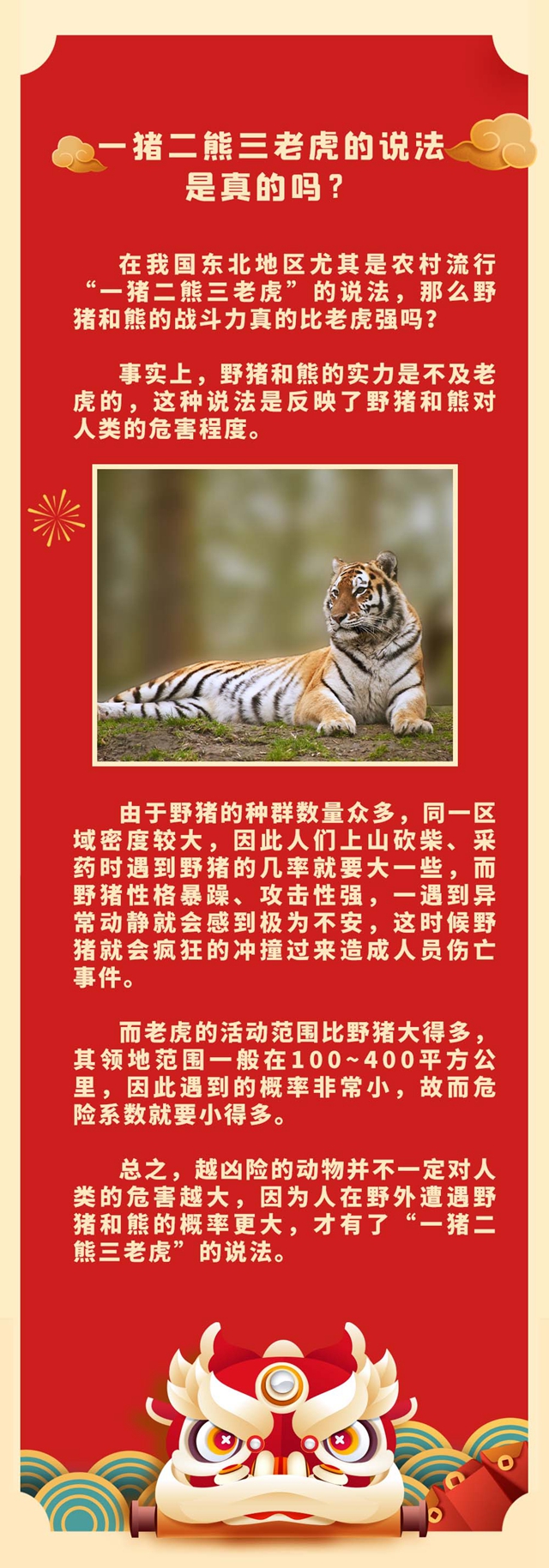 最新一虎说法详解，步骤指南与全面解析