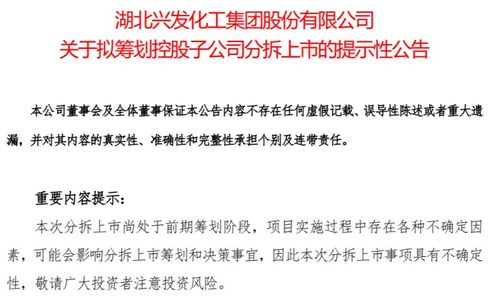揭秘上市公司公告背后的秘密，公告内容、形式与重要性探讨📰🔍