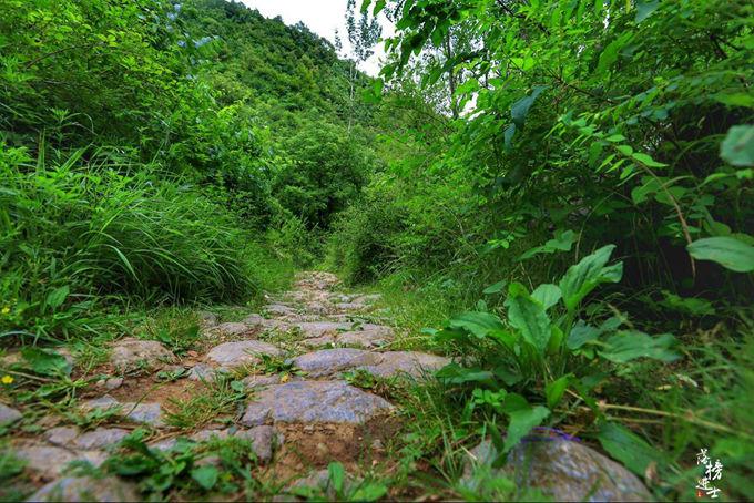 现代地面铺设技术新趋势，探索自然美景的轻松之旅之路