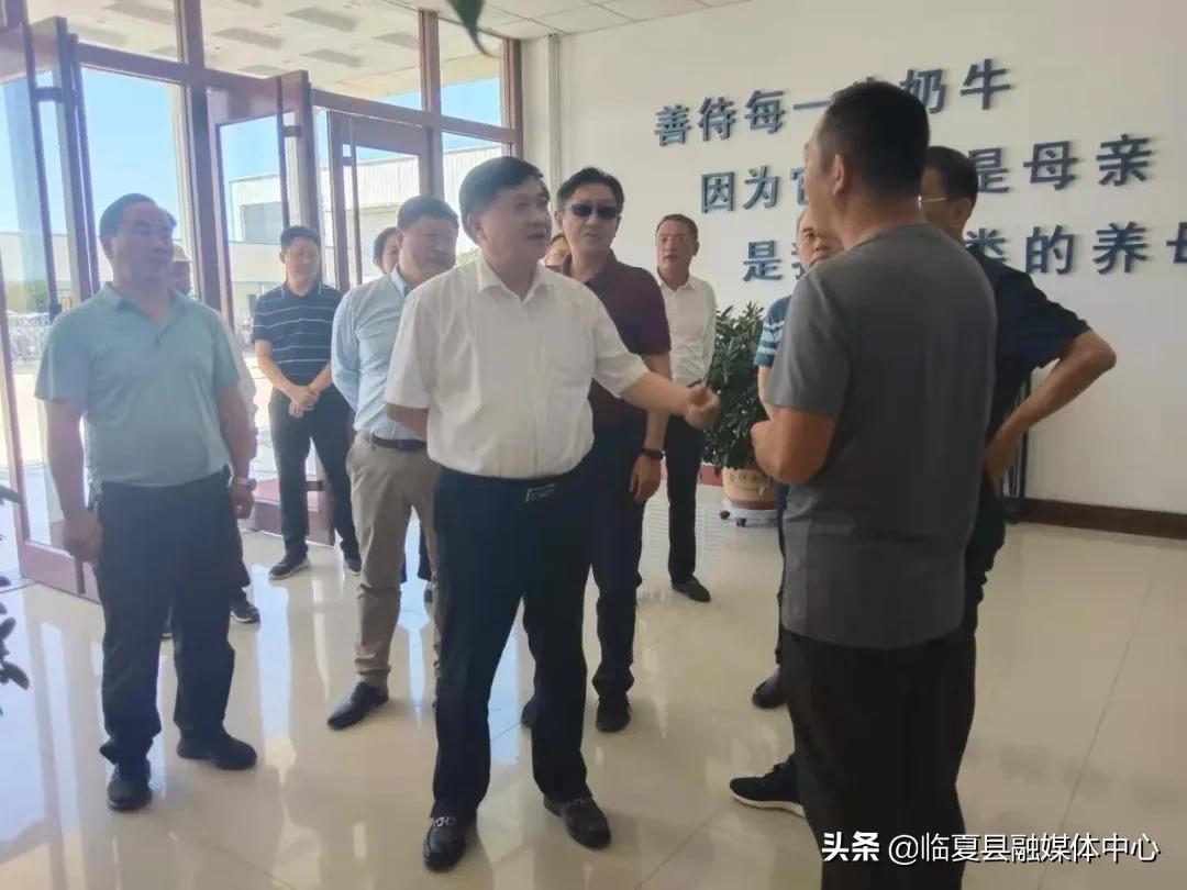 丰源村电视剧，展现乡村魅力的影视佳作