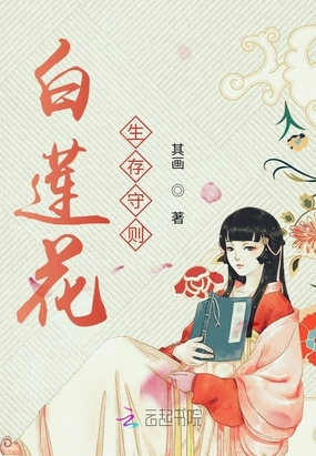 宦妻白芸最新章节揭秘，引人入胜的佳作