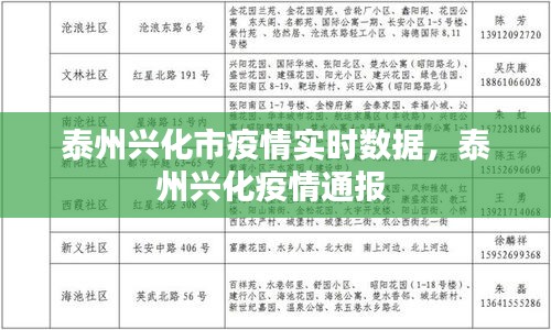 最新疫情动态，兴化地区情况详解与论述