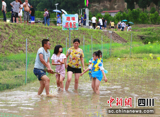 广东钓鱼比赛，探寻自然美景之旅，寻觅内心宁静与平和的旅程