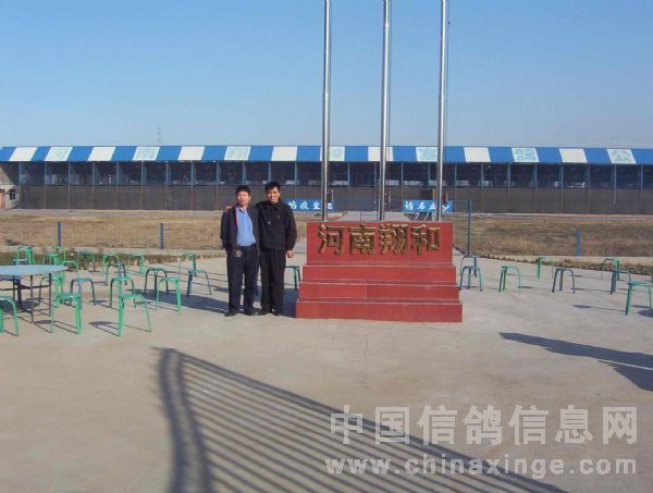 郑州恒翔公棚最新通告及其观点论述解析