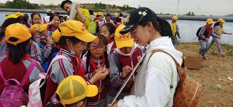 史丹利股票，学习与变化的魔力之旅探索之旅启程点