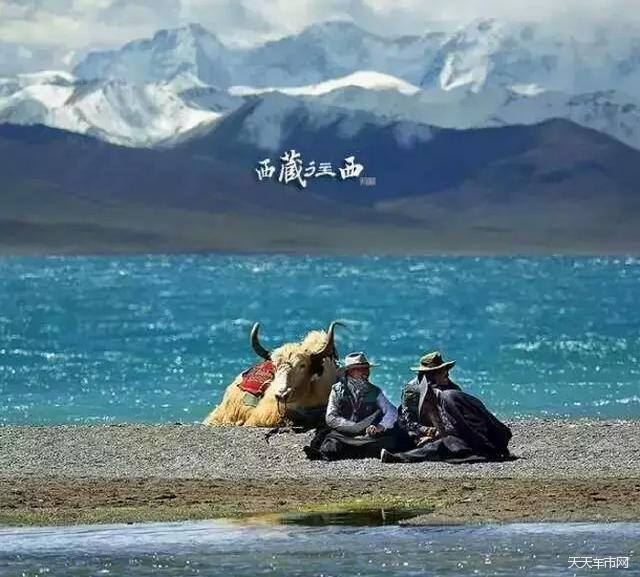 伊朗最新立场，自然美景的心灵之旅启程！