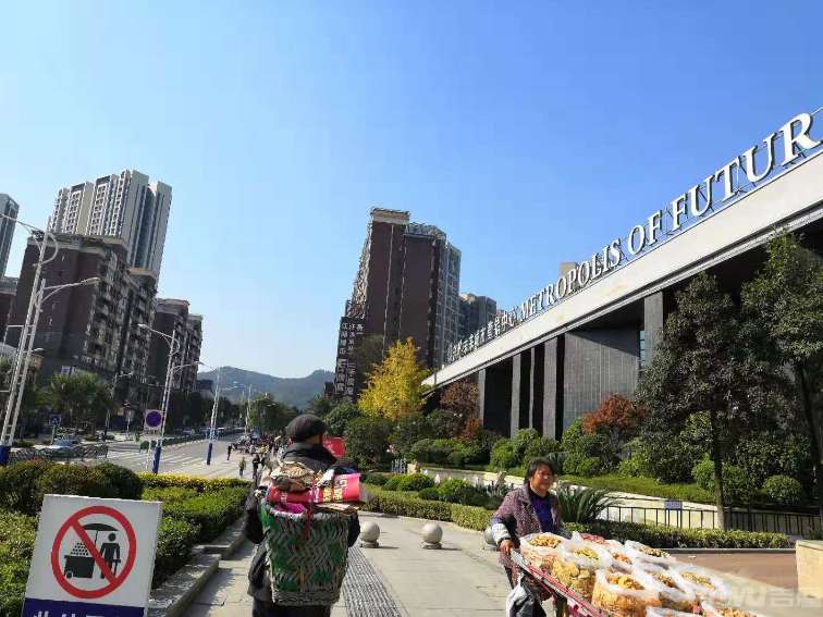 遵义楼盘价格动态深度解析及观点阐述