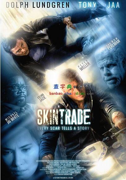 战狼演员片酬，时代见证与行业焦点揭秘