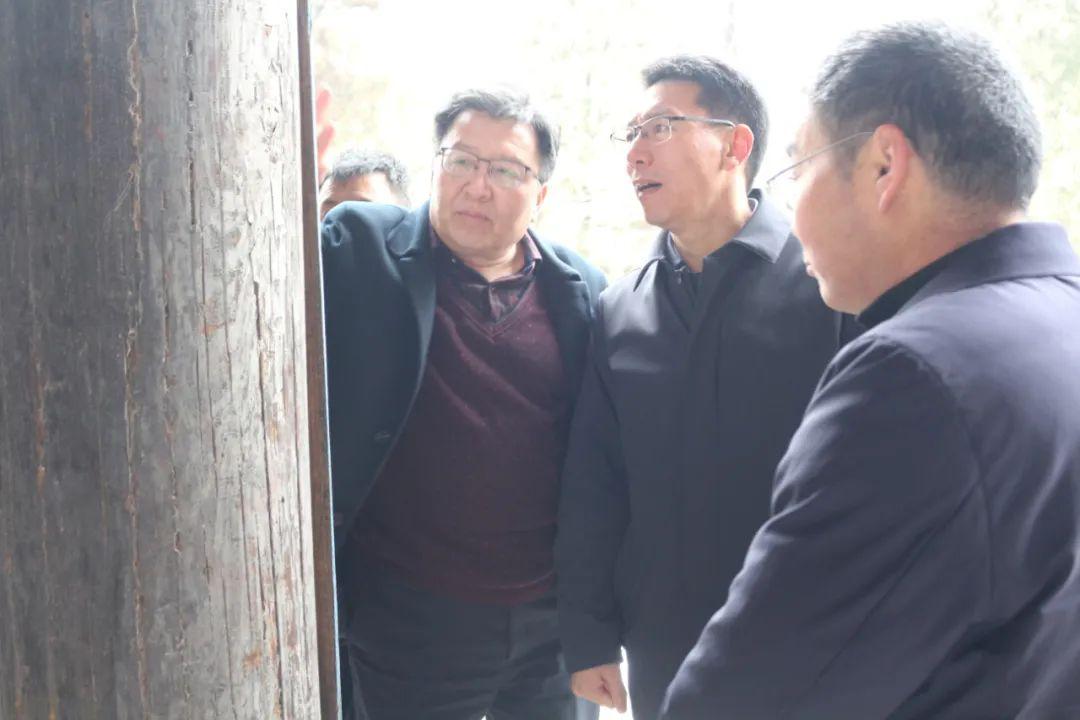 最新疫情动态，芮城疫情状况更新