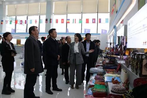 阿塞拜疆战场最新动态，自然美景下的探索之旅