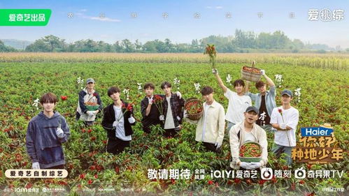 拼图电视剧演员表，自然美景探索之旅