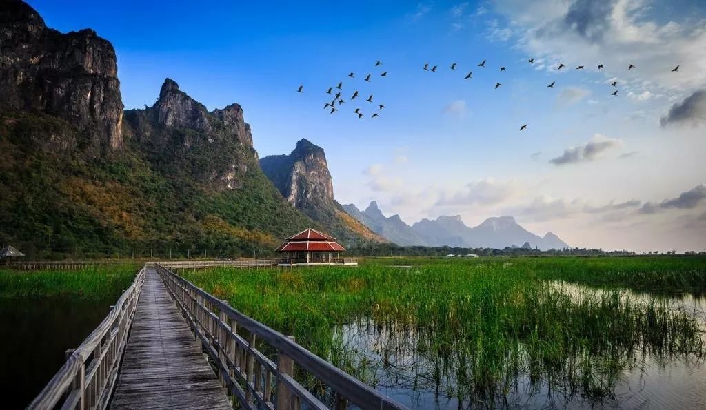 Cass最新探索，自然美景之旅，寻找内心平和的旅程