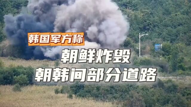 半岛局势突变背后的深层原因，心灵与自然交织的美妙之旅探索