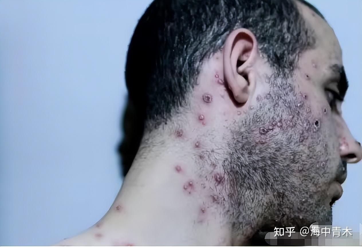 第4342页