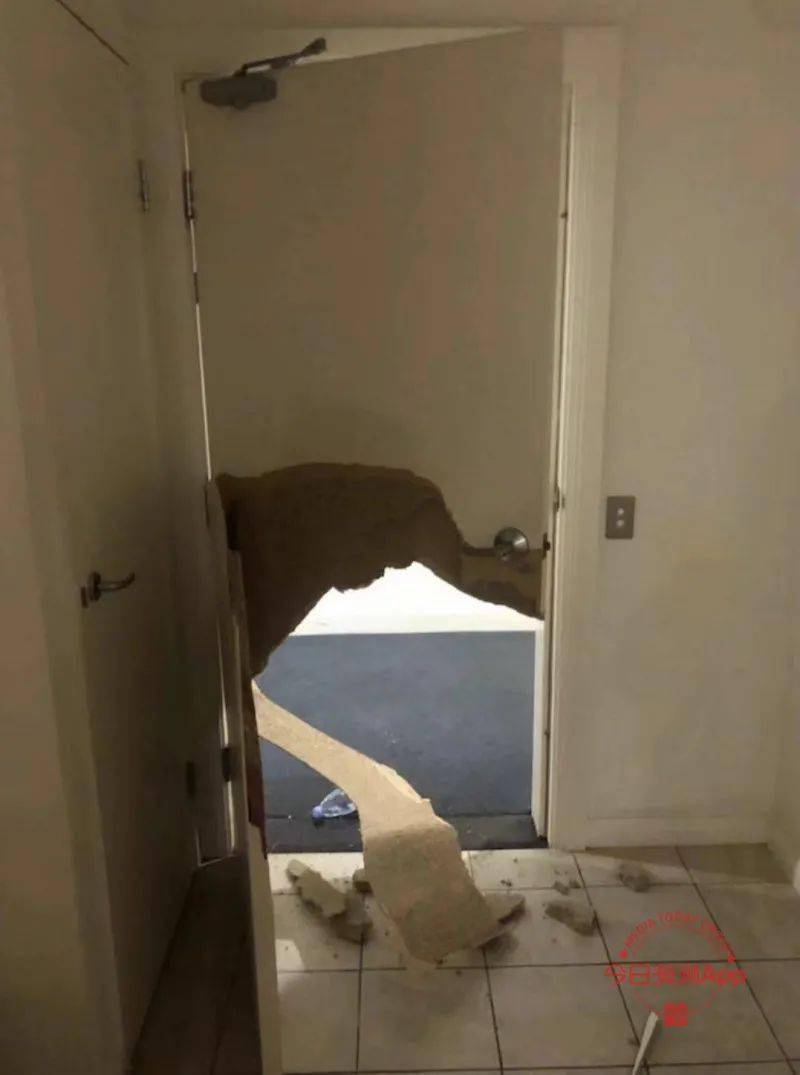 女子独自在家被困电梯一天一夜的惊险经历