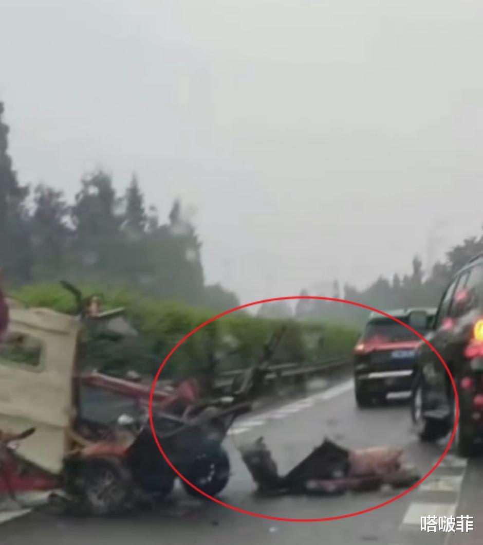 警方通报老头乐高速逆行致意外，爱与陪伴背后的悲剧警钟长鸣