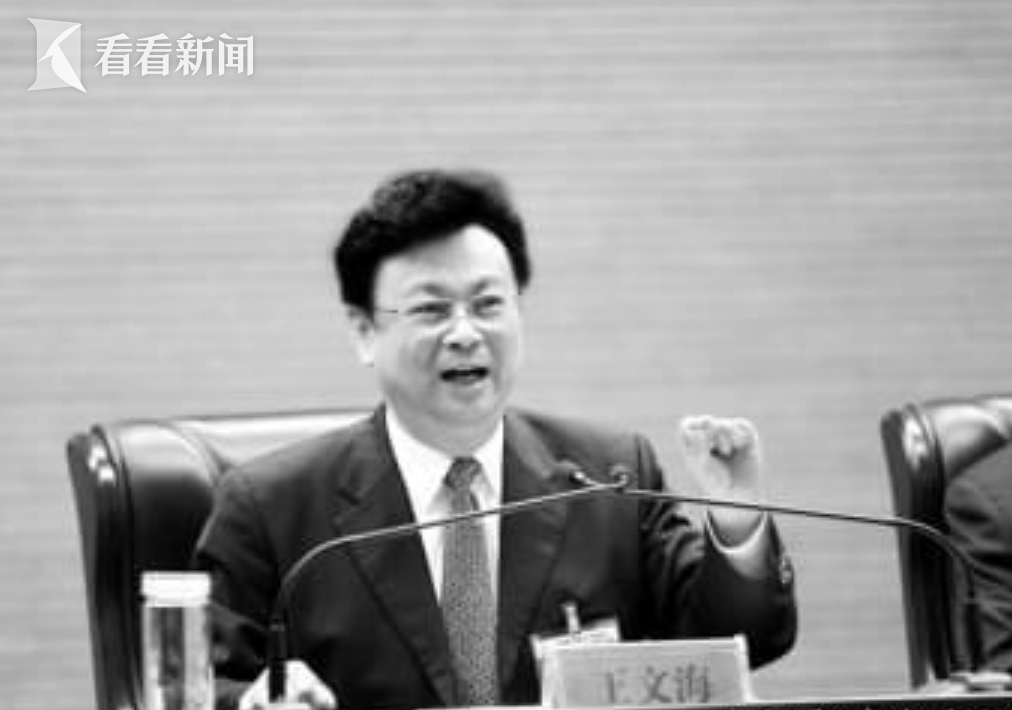 原河南省司法厅长王文海逝世，一次心灵与自然的和谐相遇