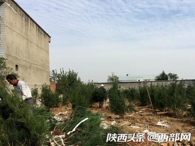 违建宿舍沿河占绿12年，详细步骤指南与问题剖析
