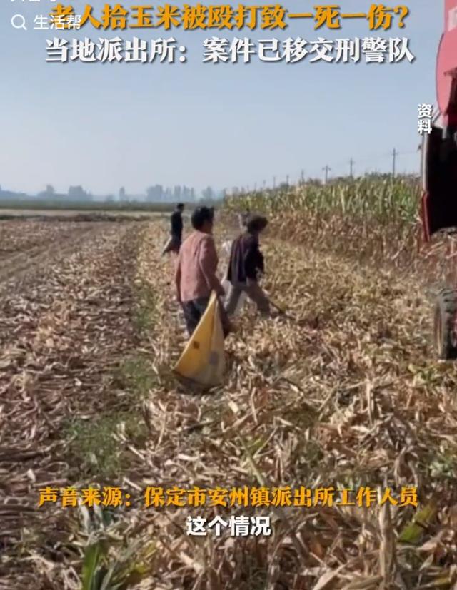 老人拾玉米被打致1死1伤？当地回应