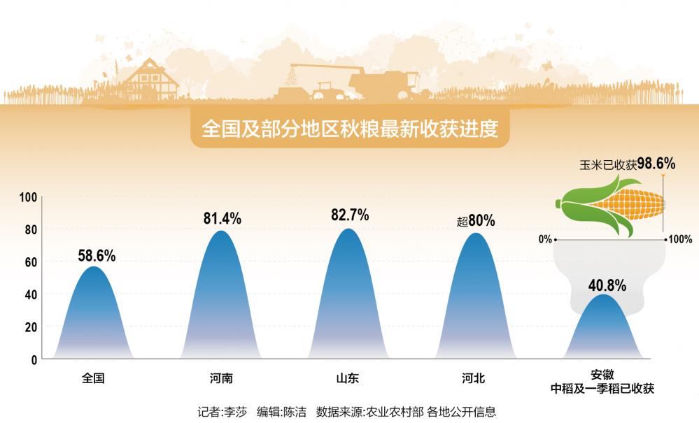 全国秋粮收获近六成，喜讯连连丰收在望🍂